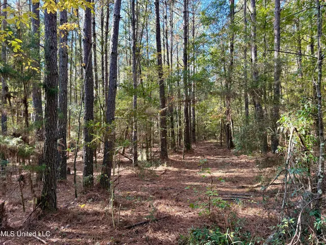 $170,000 | 1088 Freeman Road, McComb, MS 39648