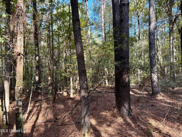 $170,000 | 1088 Freeman Road, McComb, MS 39648