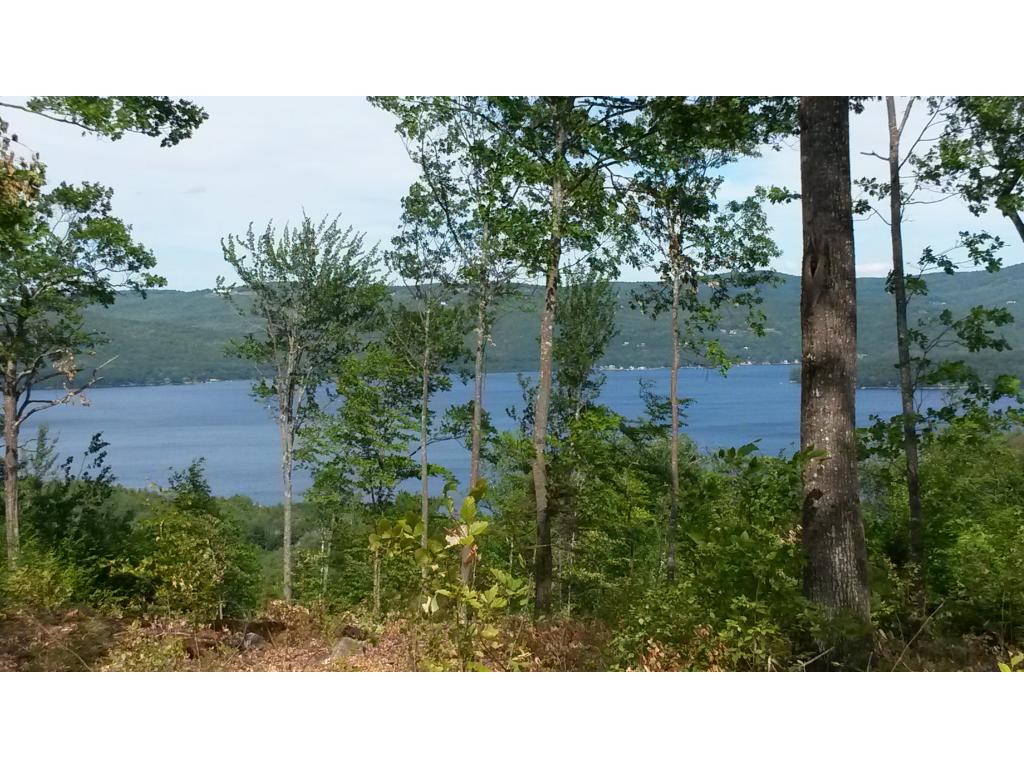 1 Bear Mt Road Hebron, NH 03241 - Photo 2 of 14