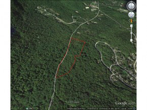 1 Bear Mt Road Hebron, NH 03241 - Photo 12 of 14
