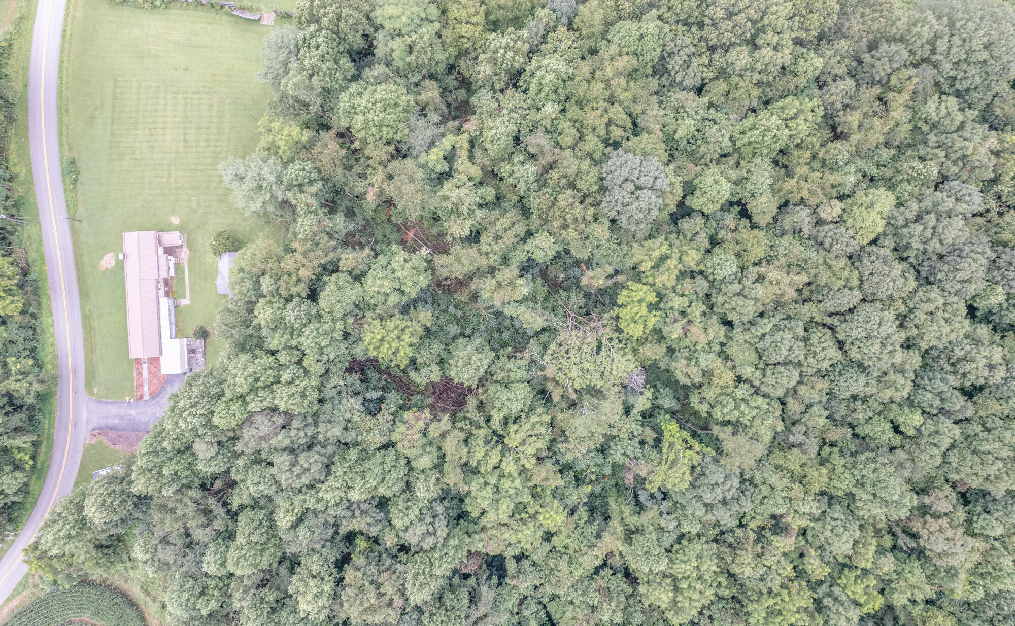 130 5 Oaks Road Jonesborough, TN 37659 - Photo 27 of 27 DJI_0397 copy