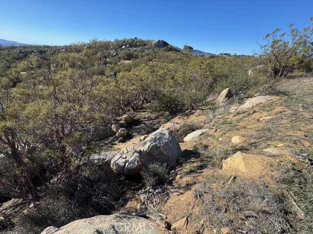 54740 Cave Rock Road Anza, CA 92539 - Photo 23 of 47 a view of a forest with mountains in the background