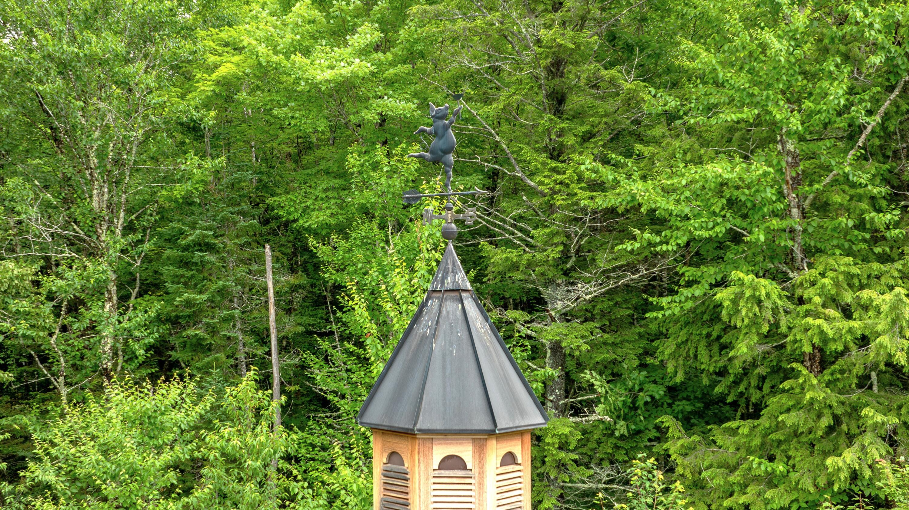 98 Kimball Road Harrison, ME 04040 - Photo 20 of 90 98 Kimball Road Harrison-11