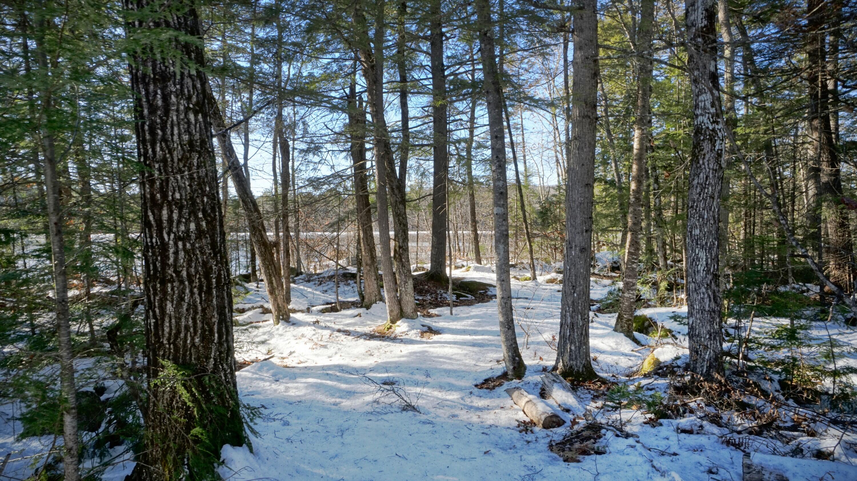 98 Kimball Road Harrison, ME 04040 - Photo 36 of 90 98 Kimball Rd Harrison ME (13)