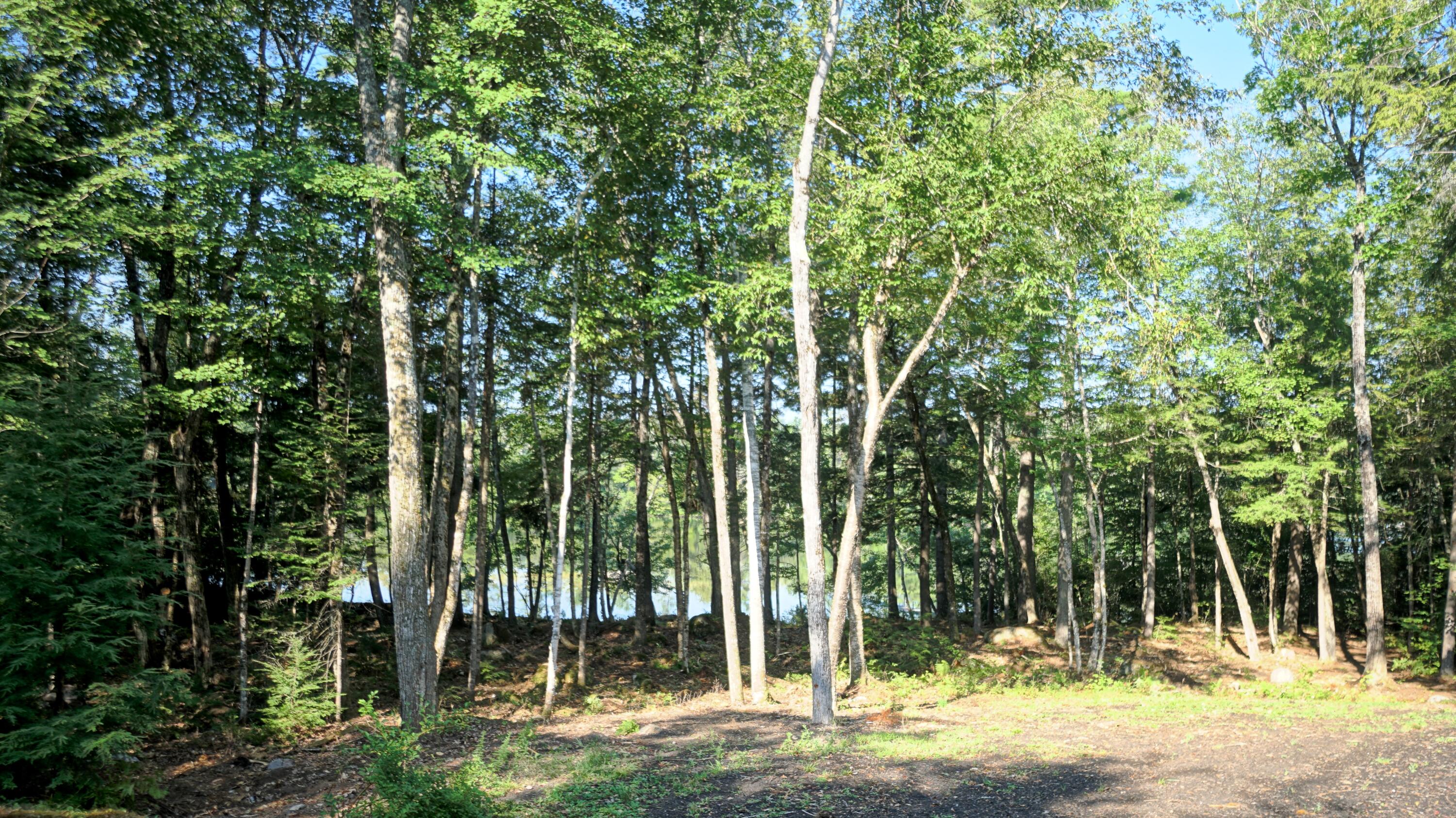 98 Kimball Road Harrison, ME 04040 - Photo 9 of 90 View From The Deck