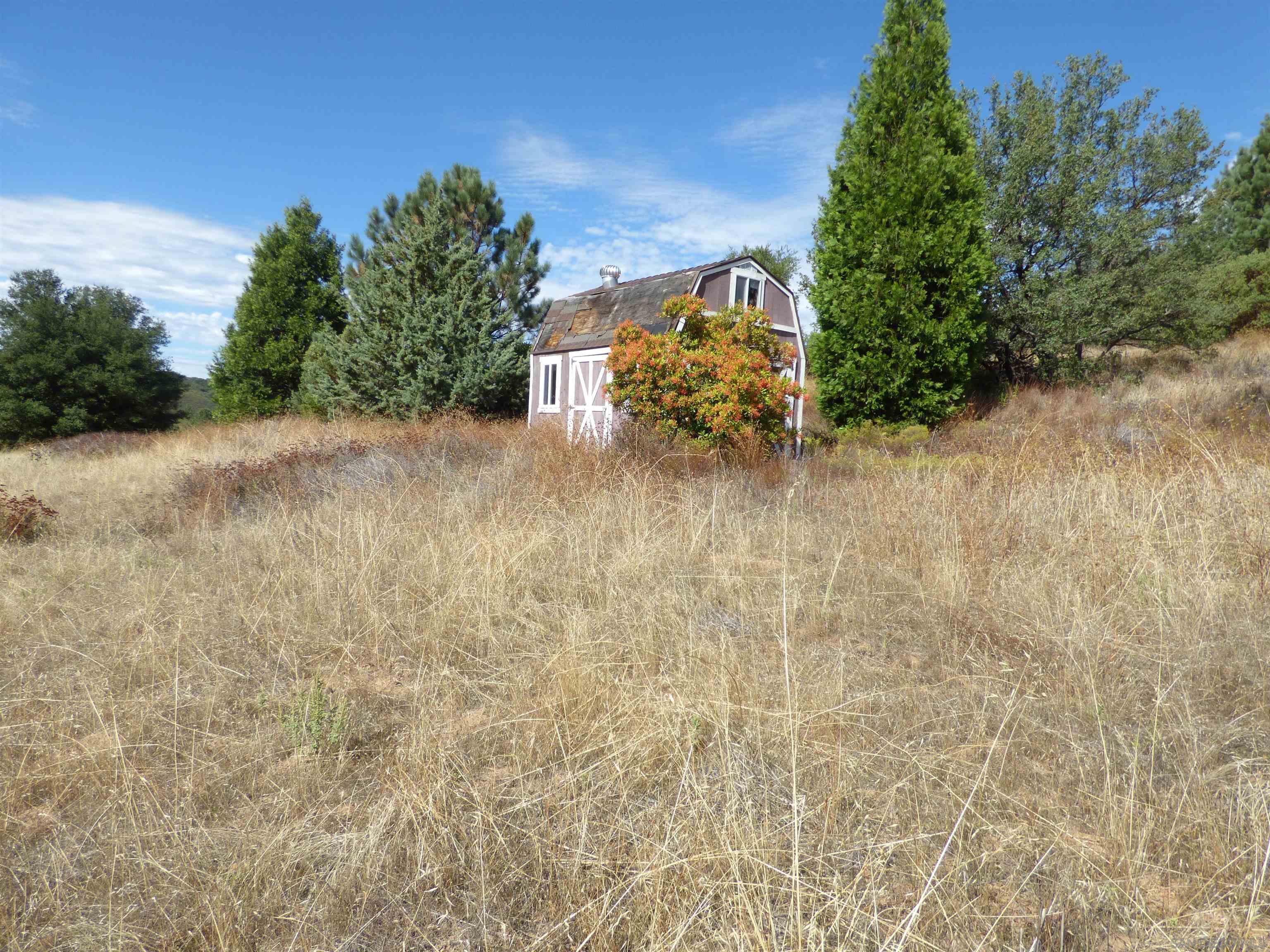 a view of a plants with a dry yard