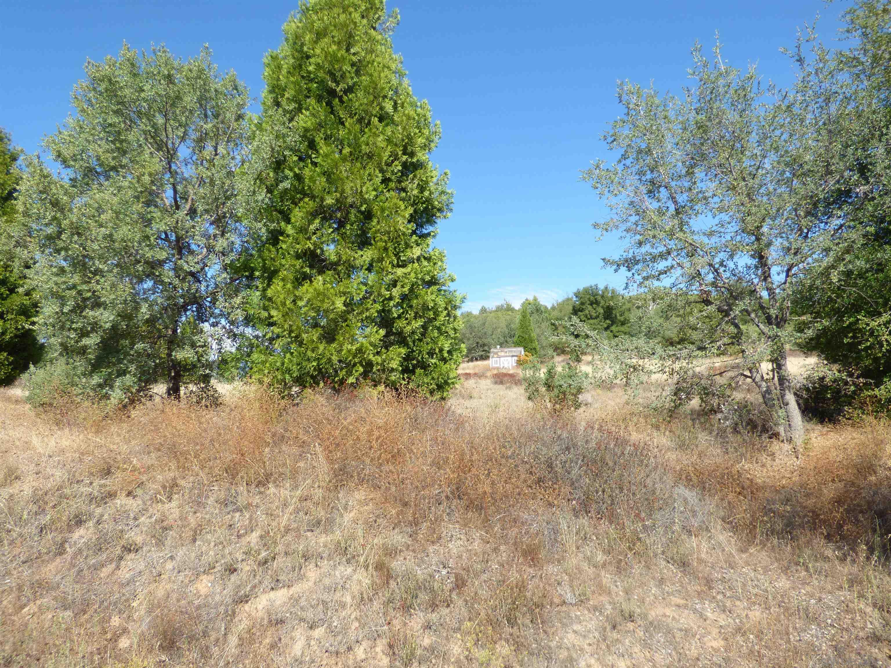 0 Engineers Road Julian, CA 92036 - Photo 19 of 27 a view of a lake with a tree