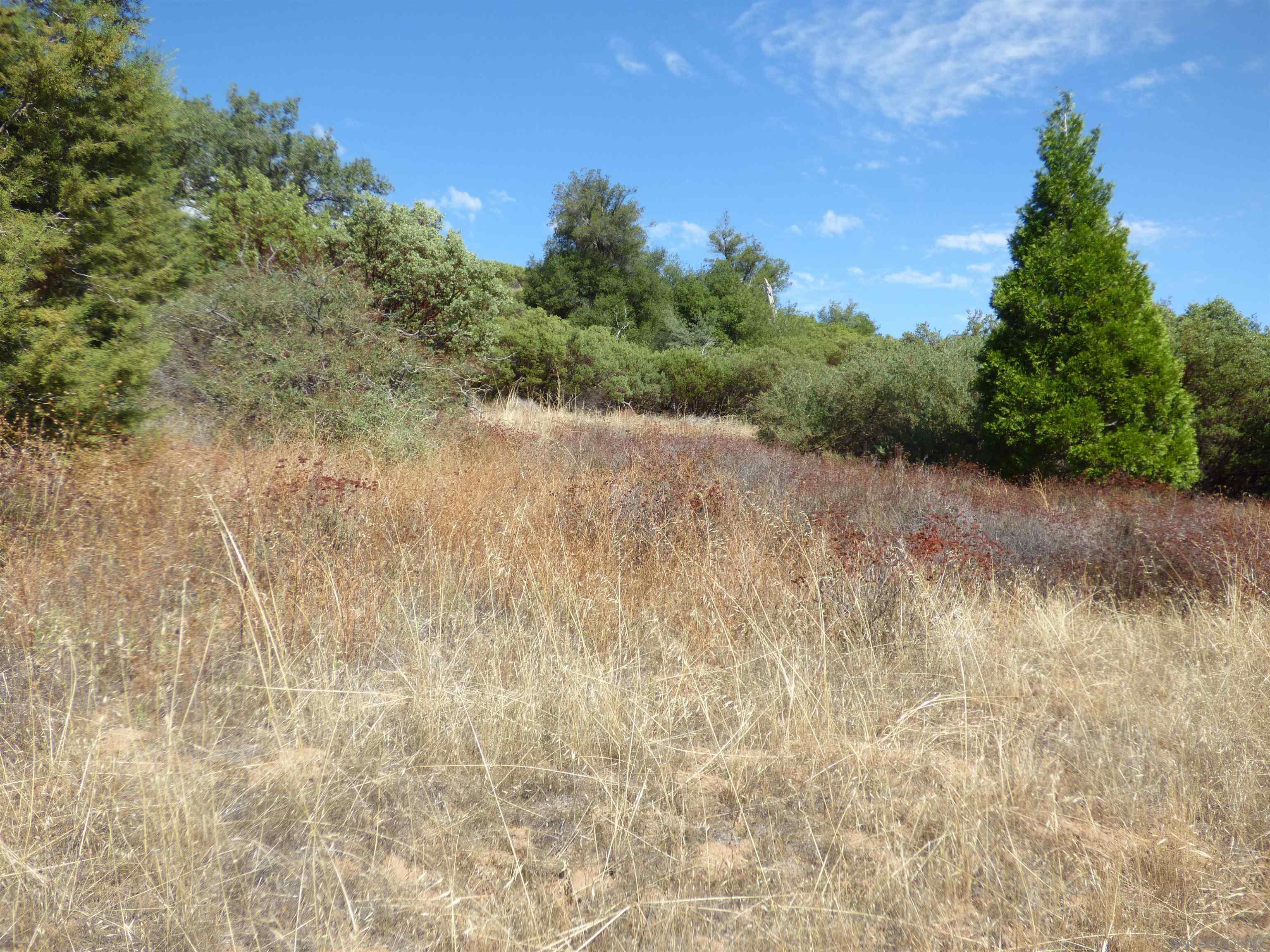 0 Engineers Road Julian, CA 92036 - Photo 21 of 27 a view of a lake with lots of trees