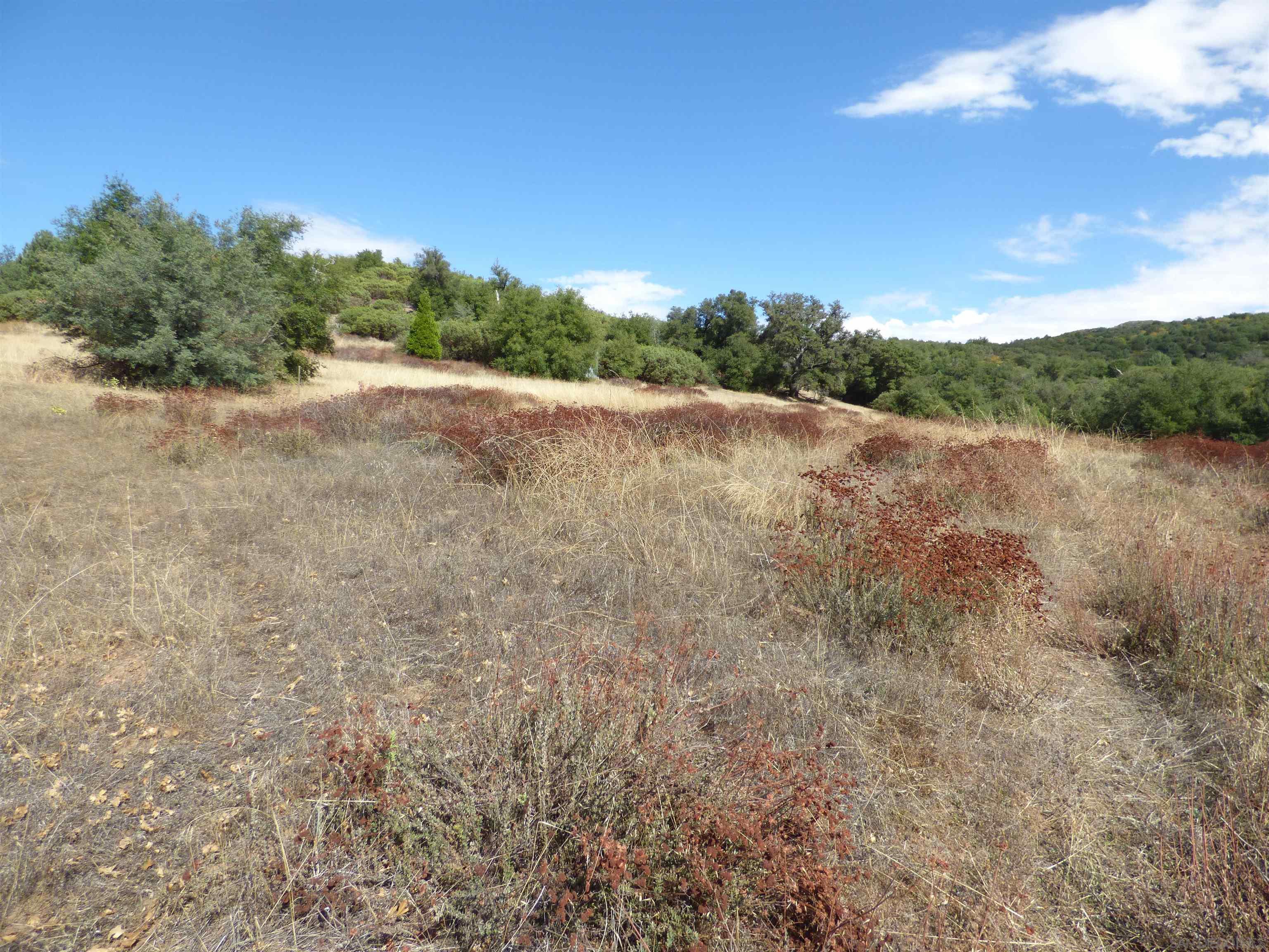 0 Engineers Road Julian, CA 92036 - Photo 24 of 27 a view of an outdoor space with a lake view