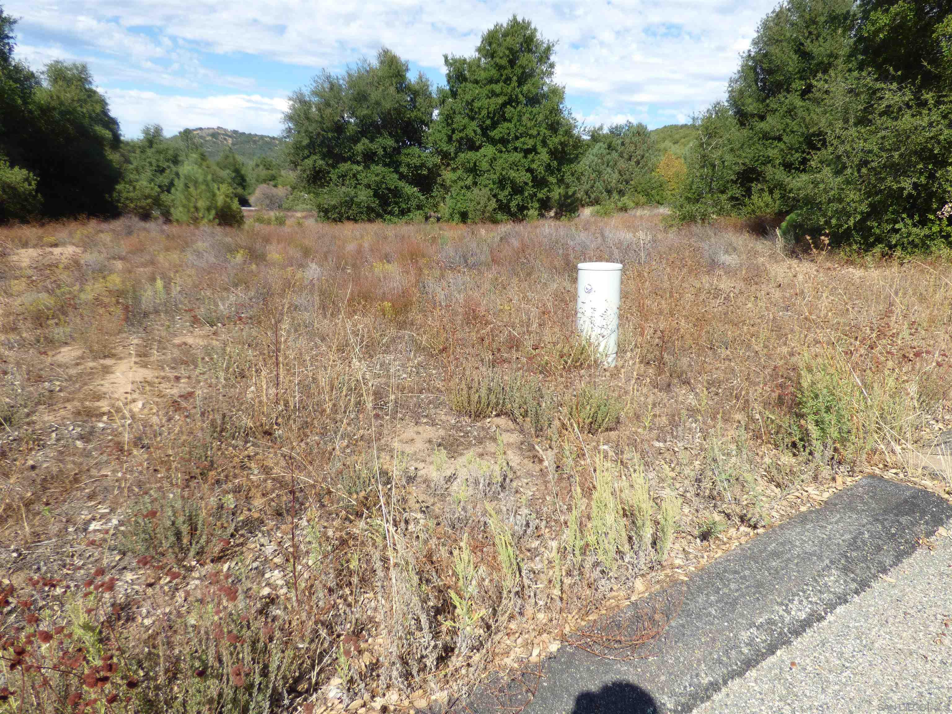 0 Engineers Road Julian, CA 92036 - Photo 26 of 27 a view of a yard with a trees