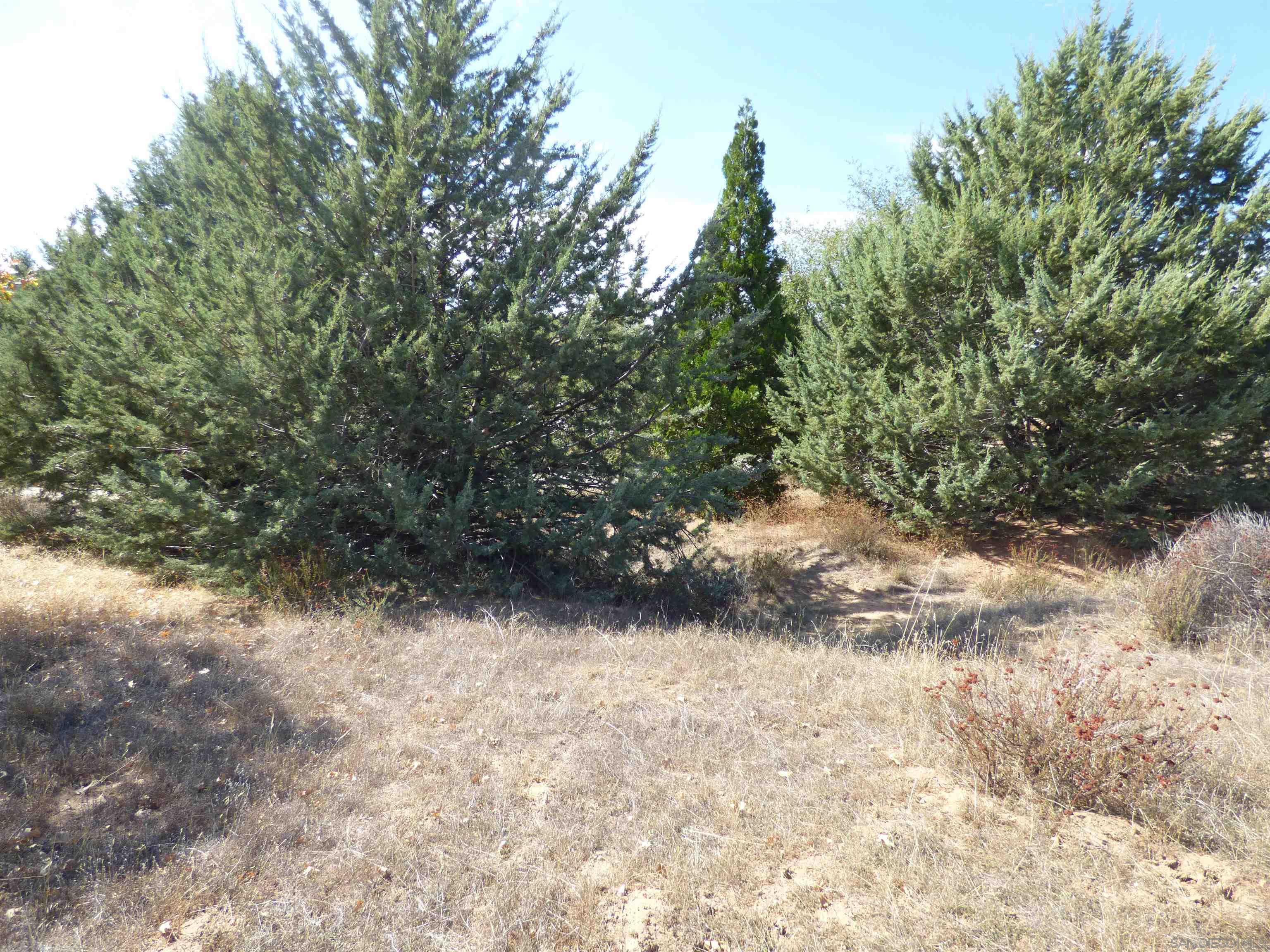 0 Engineers Road Julian, CA 92036 - Photo 6 of 27 a view of a yard with a tree