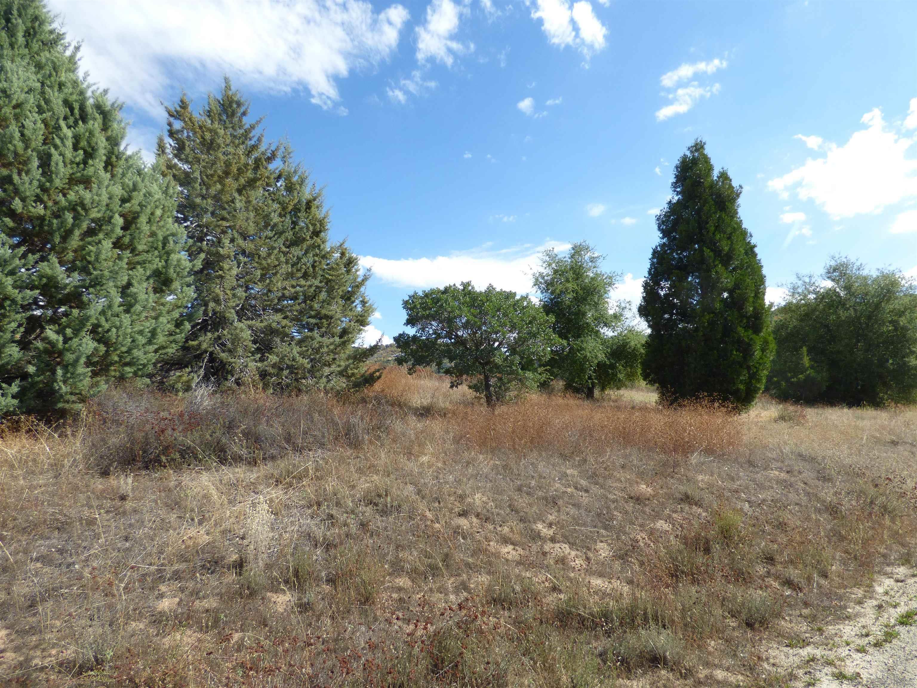 0 Engineers Road Julian, CA 92036 - Photo 8 of 27 a view of a forest