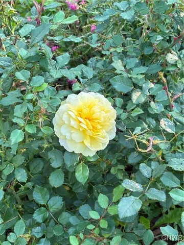 $182,000 | 83 Chapman Avenue, Auburn, NY 13021