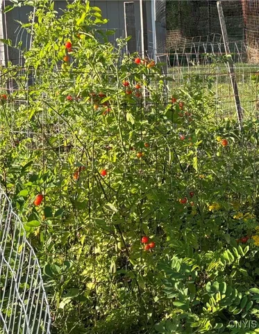 $182,000 | 83 Chapman Avenue, Auburn, NY 13021