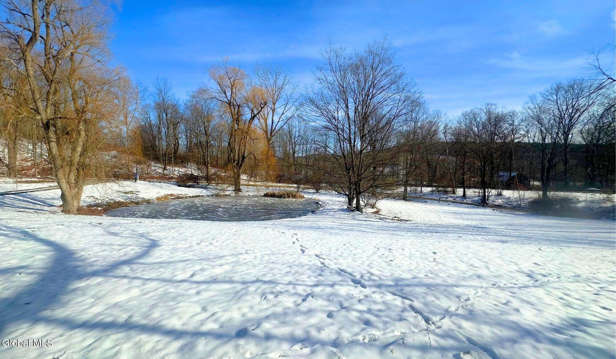 315 Lower Cady Road Chatham, NY 12136 - Photo 51 of 53 51