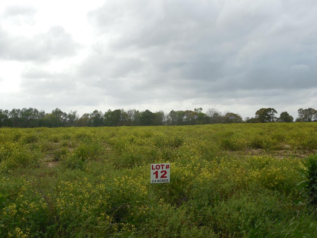 3 Acres Dothan Al Dothan, AL 36301 - Photo 1 of 1