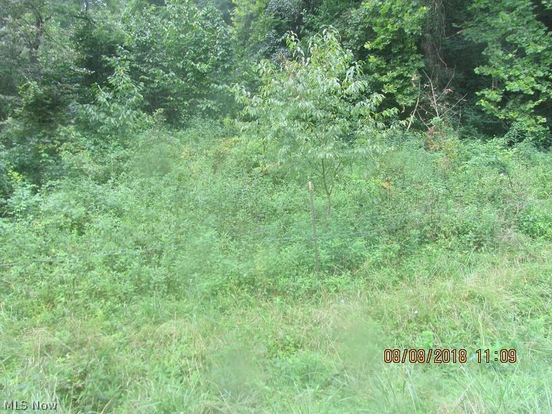 2000 Road Fork Road Ravenswood, WV 26164 - Photo 30 of 32 Gallery Image 30
