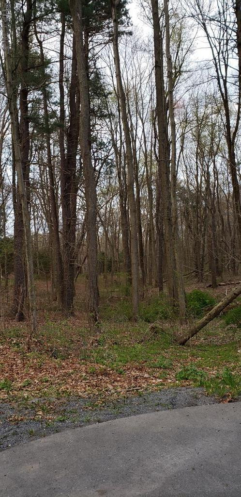 460 Oak Leaf Lane Roaring Spring, PA 16673 - Photo 1 of 5 a view of outdoor space with trees