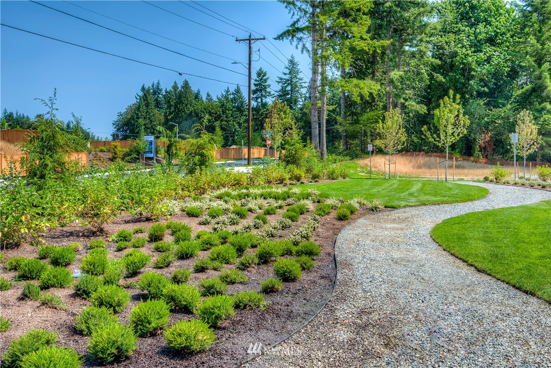 21813 33rd Drive Southeast, Unit 36 Bothell, WA 98021 - Photo 22 of 22 a view of a garden with a plants