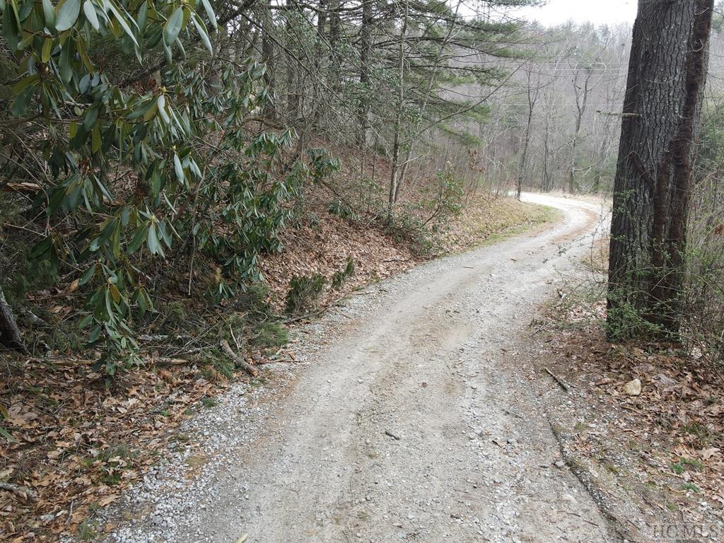 Tbd Pine Creek Road Cullowhee, NC 28723 - Photo 48 of 51 Gallery Image 48