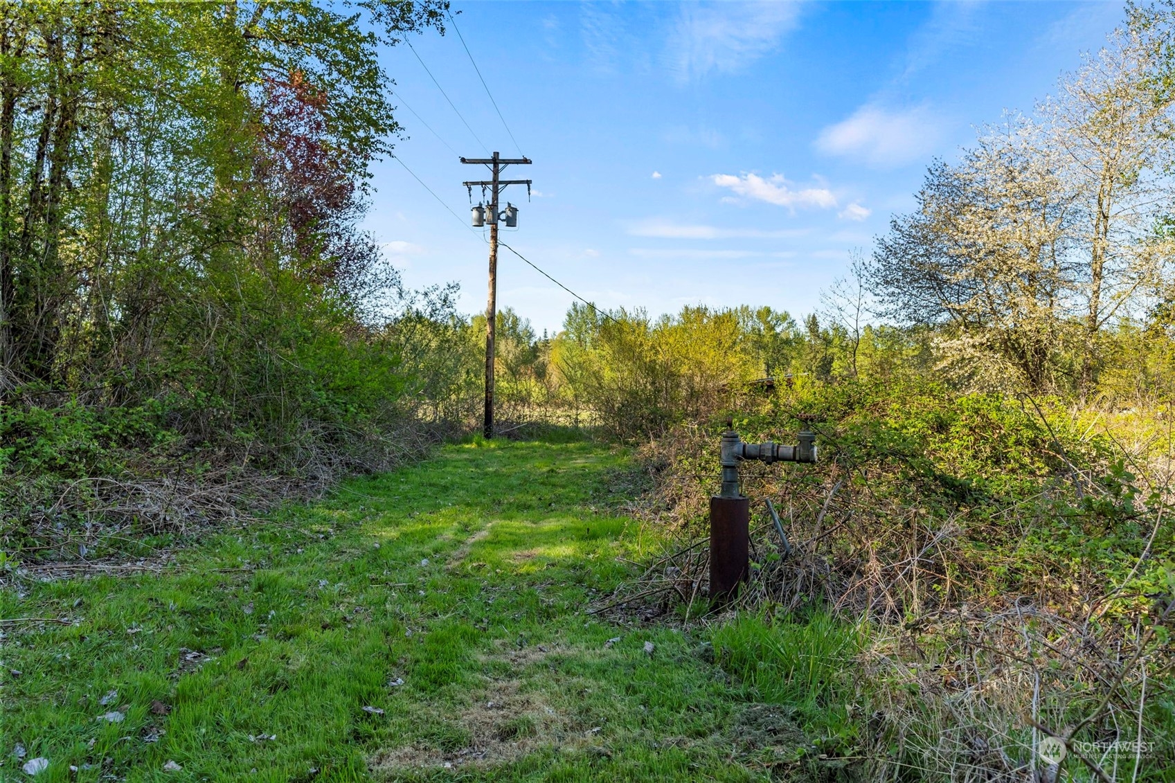191 Collins Road Toledo, WA 98591 - Photo 36 of 40 a view of a garden with a tree in the background