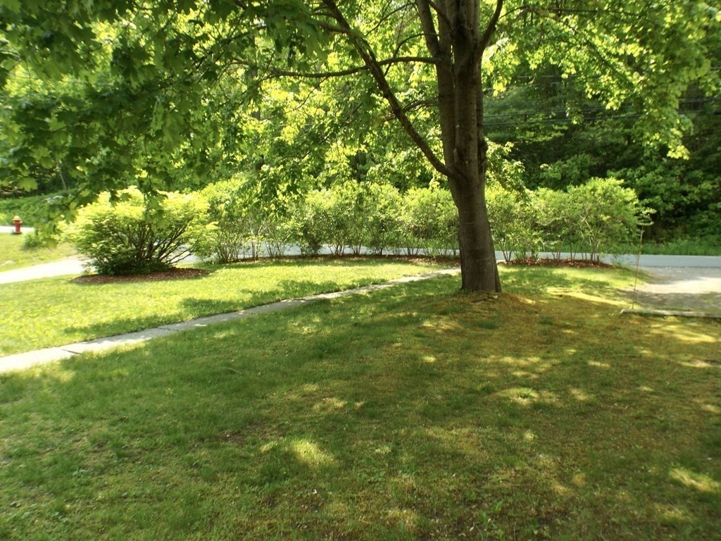 9 Bray Road Buckland, MA 01370 - Photo 23 of 25 a view of yard with green space and trees around