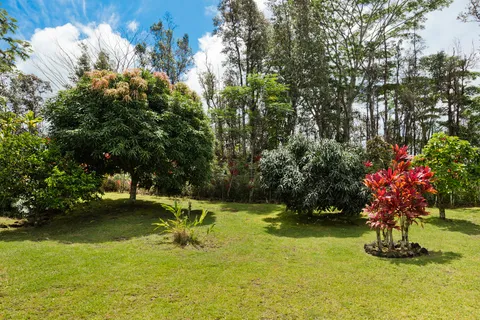 a swimming pool with trees in the background