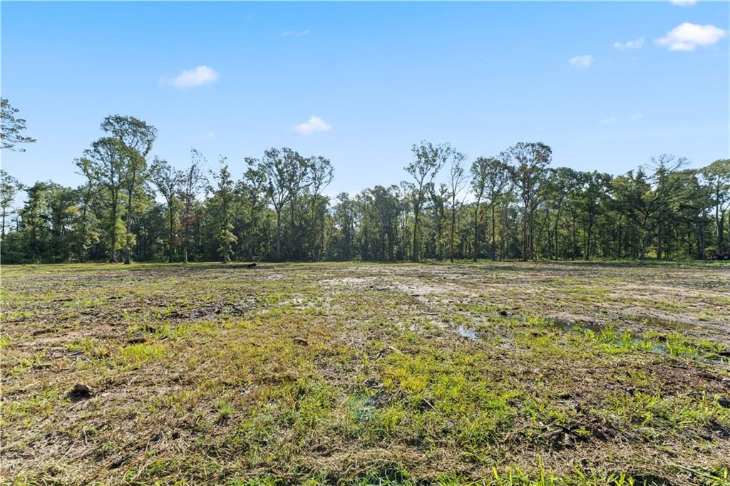 24702-22 Abernathy Road Springfield, LA 70462 - Photo 11 of 30 Gallery Image 11
