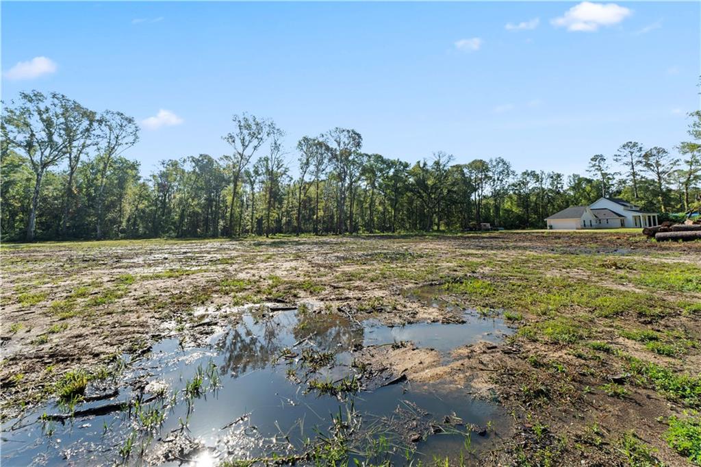 24702-22 Abernathy Road Springfield, LA 70462 - Photo 12 of 30 Gallery Image 12