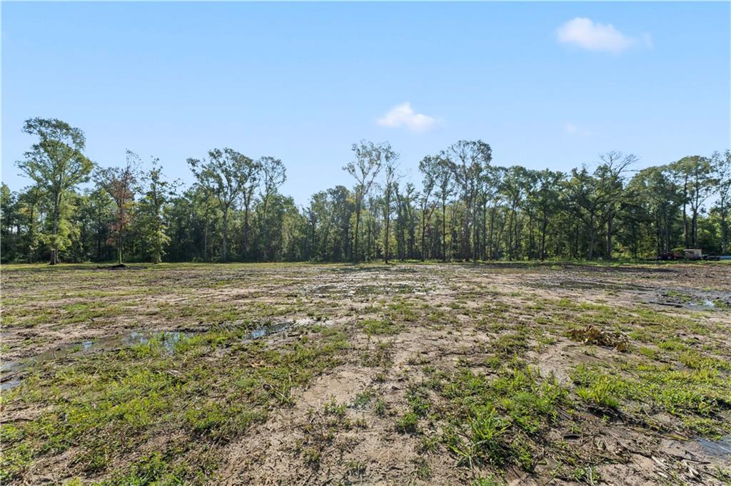 24702-22 Abernathy Road Springfield, LA 70462 - Photo 13 of 30 Gallery Image 13