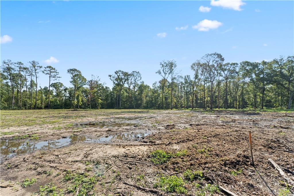 24702-22 Abernathy Road Springfield, LA 70462 - Photo 14 of 30 Gallery Image 14