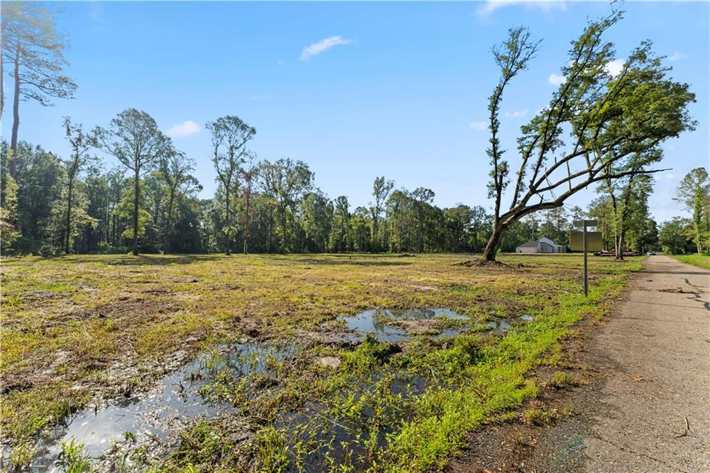 24702-22 Abernathy Road Springfield, LA 70462 - Photo 4 of 30 Gallery Image 4