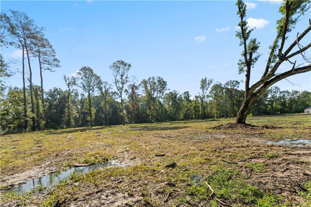 24702-22 Abernathy Road Springfield, LA 70462 - Photo 5 of 30 Gallery Image 5