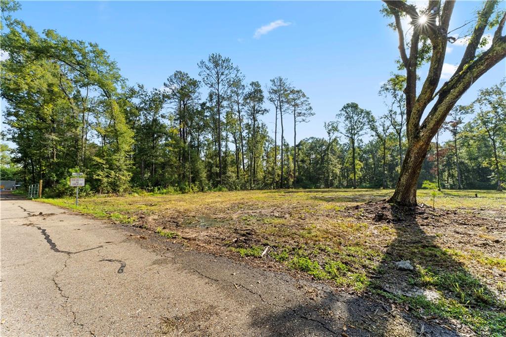 24702-22 Abernathy Road Springfield, LA 70462 - Photo 6 of 30 Gallery Image 6