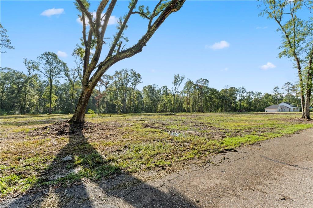 24702-22 Abernathy Road Springfield, LA 70462 - Photo 7 of 30 Gallery Image 7