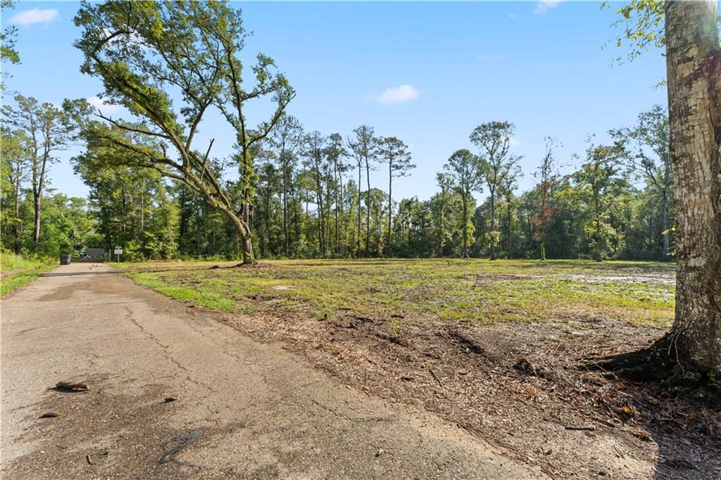 24702-22 Abernathy Road Springfield, LA 70462 - Photo 8 of 30 Gallery Image 8
