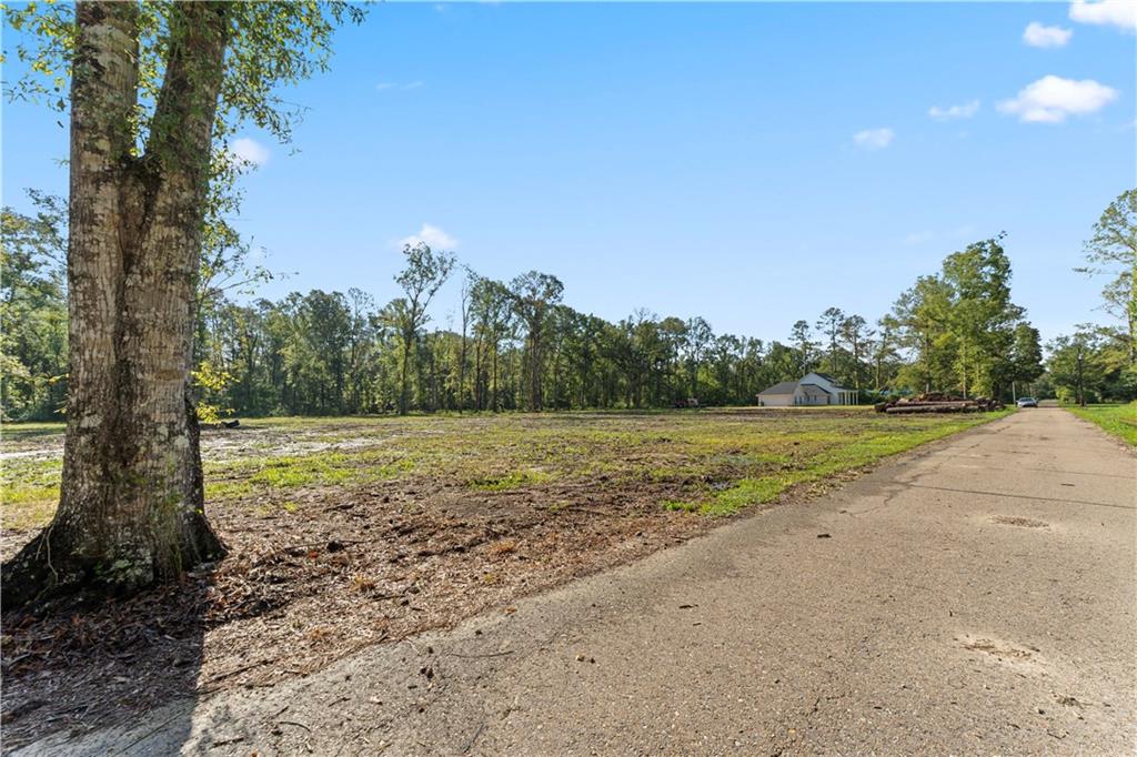 24702-22 Abernathy Road Springfield, LA 70462 - Photo 9 of 30 Gallery Image 9