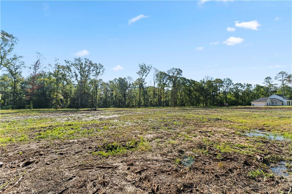 24702-22 Abernathy Road Springfield, LA 70462 - Photo 10 of 30 Gallery Image 10
