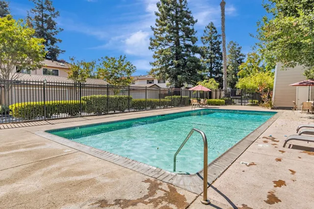 a view of a backyard with a garden and plants