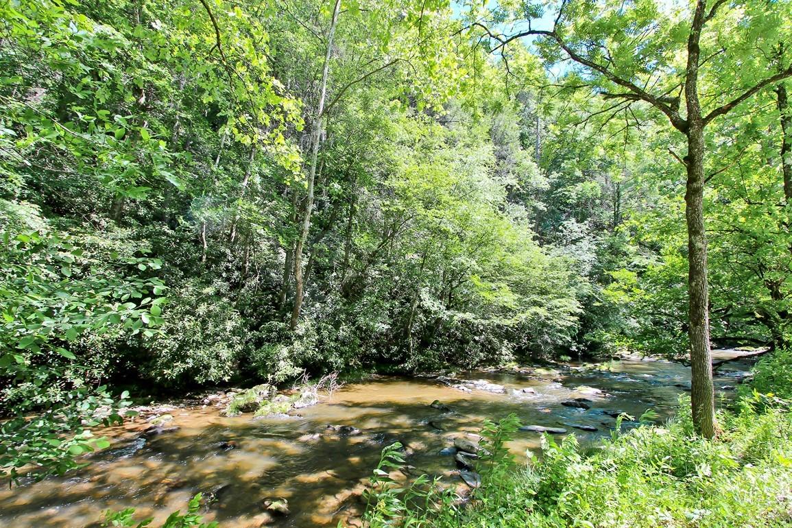 1698 Old 15th Road Del Rio, TN 37727 - Photo 14 of 31 IMG_4516