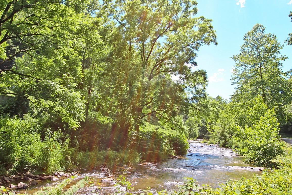 1698 Old 15th Road Del Rio, TN 37727 - Photo 22 of 31 IMG_4525