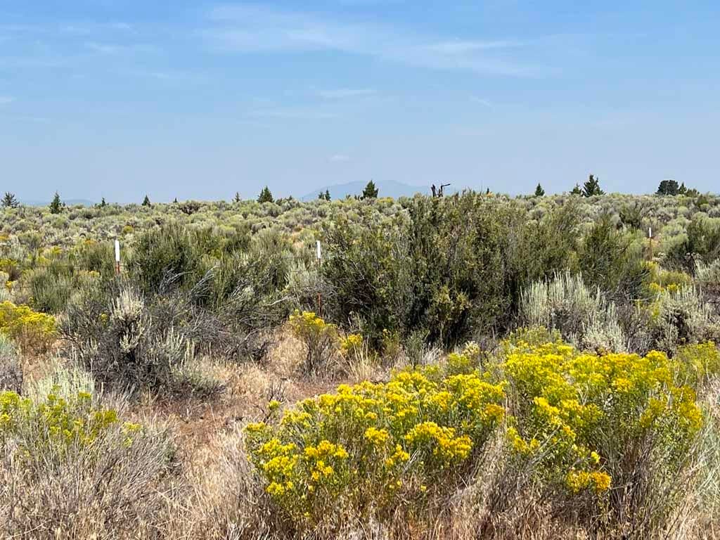 Yellow Jacket Springs Road, Unit 1200 Beatty, OR 97621 - Photo 2 of 32 IMG_6609