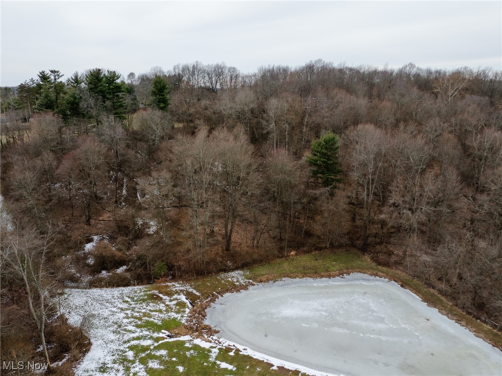 3421 Ridge Road Northwest Bolivar, OH 44612 - Photo 37 of 45 View of landscape with a view of trees