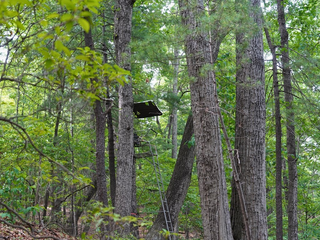 Tbd Webb Mountain Road Boones Mill, VA 24065 - Photo 19 of 36 Gallery Image 19
