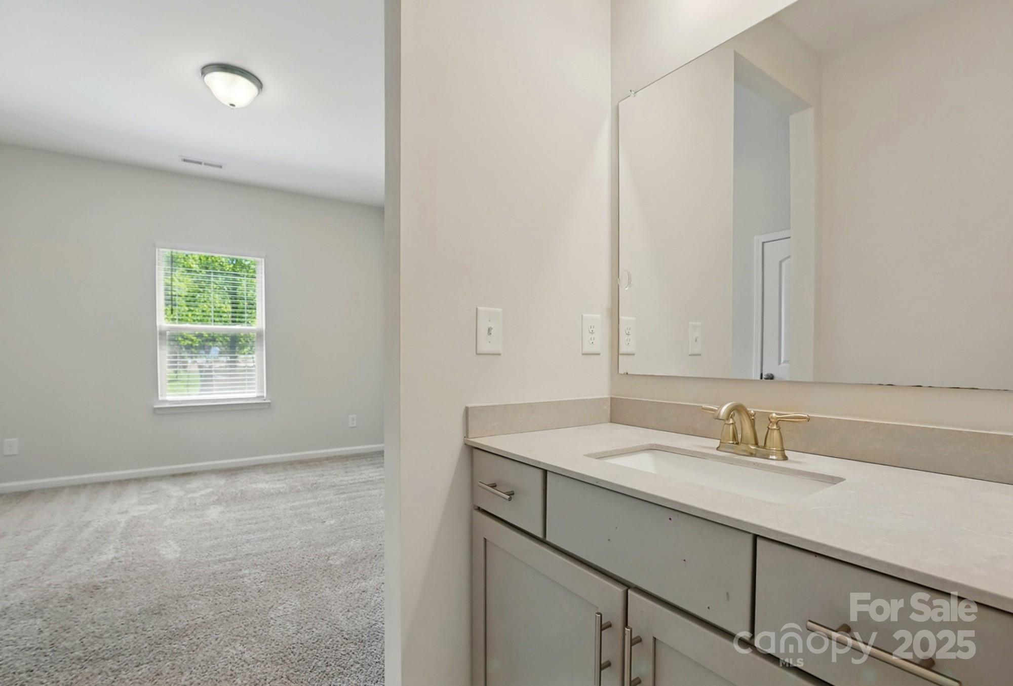 20422 Creek Bend Edge Court Matthews, NC 28105 - Photo 30 of 39 a bathroom with a sink and a mirror