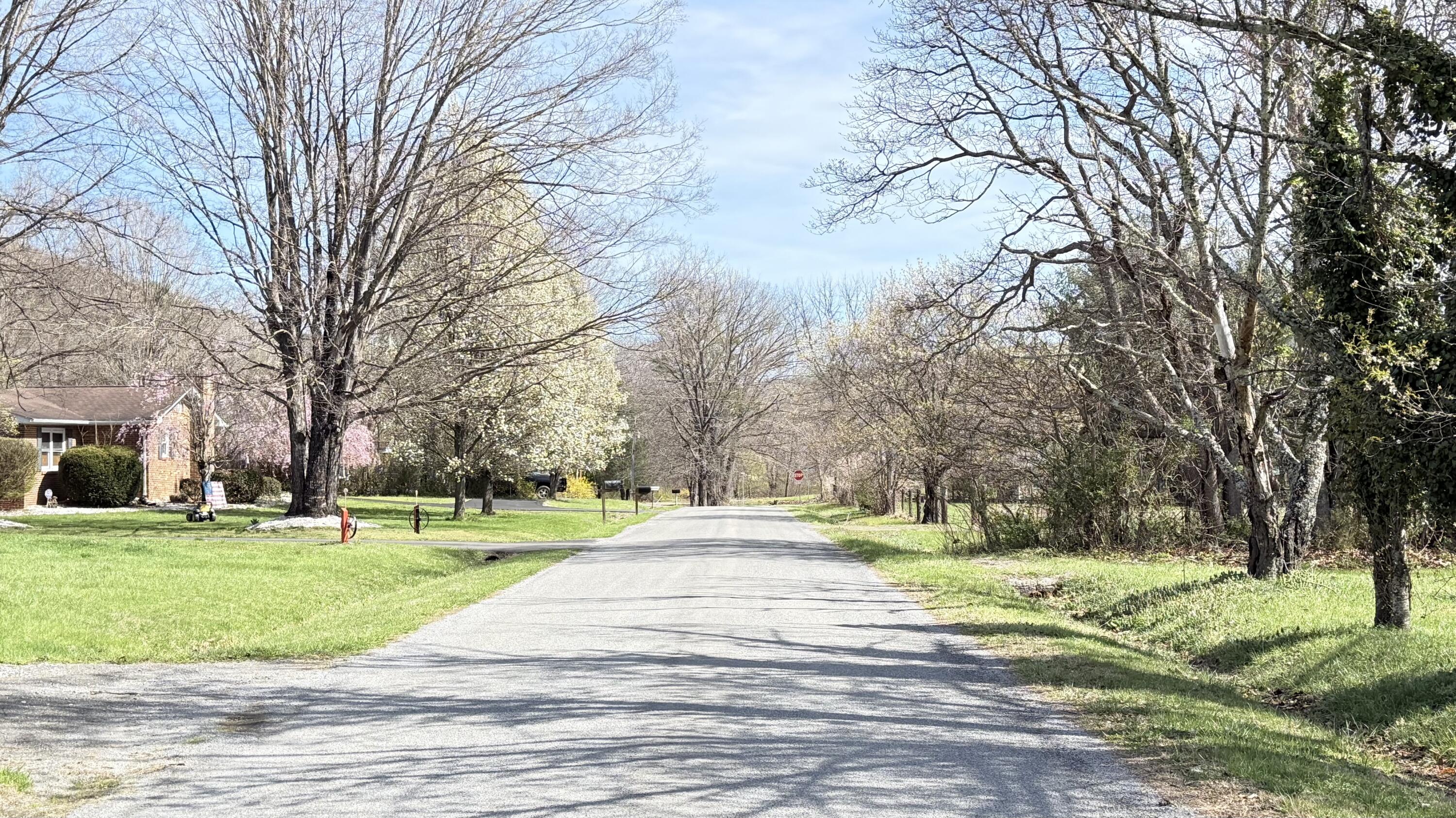 338 4th Street New Castle, VA 24127 - Photo 4 of 23 a view of a park with large trees