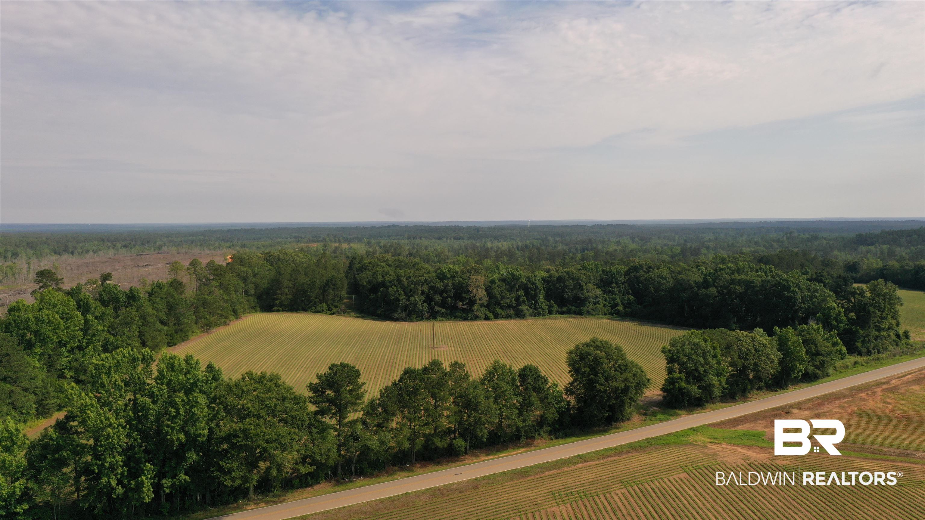 6 Travis Road Brewton, AL 36426 - Photo 7 of 22