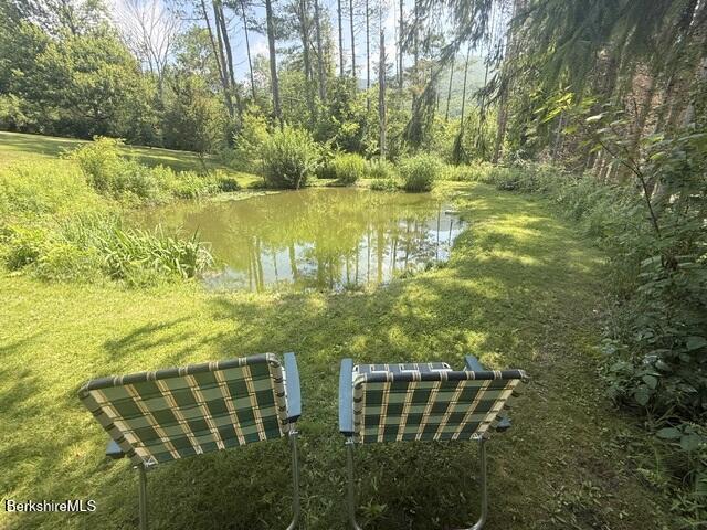 201 Weaver Dam Road Petersburg, NY 12138 - Photo 25 of 32 Swimming Pond