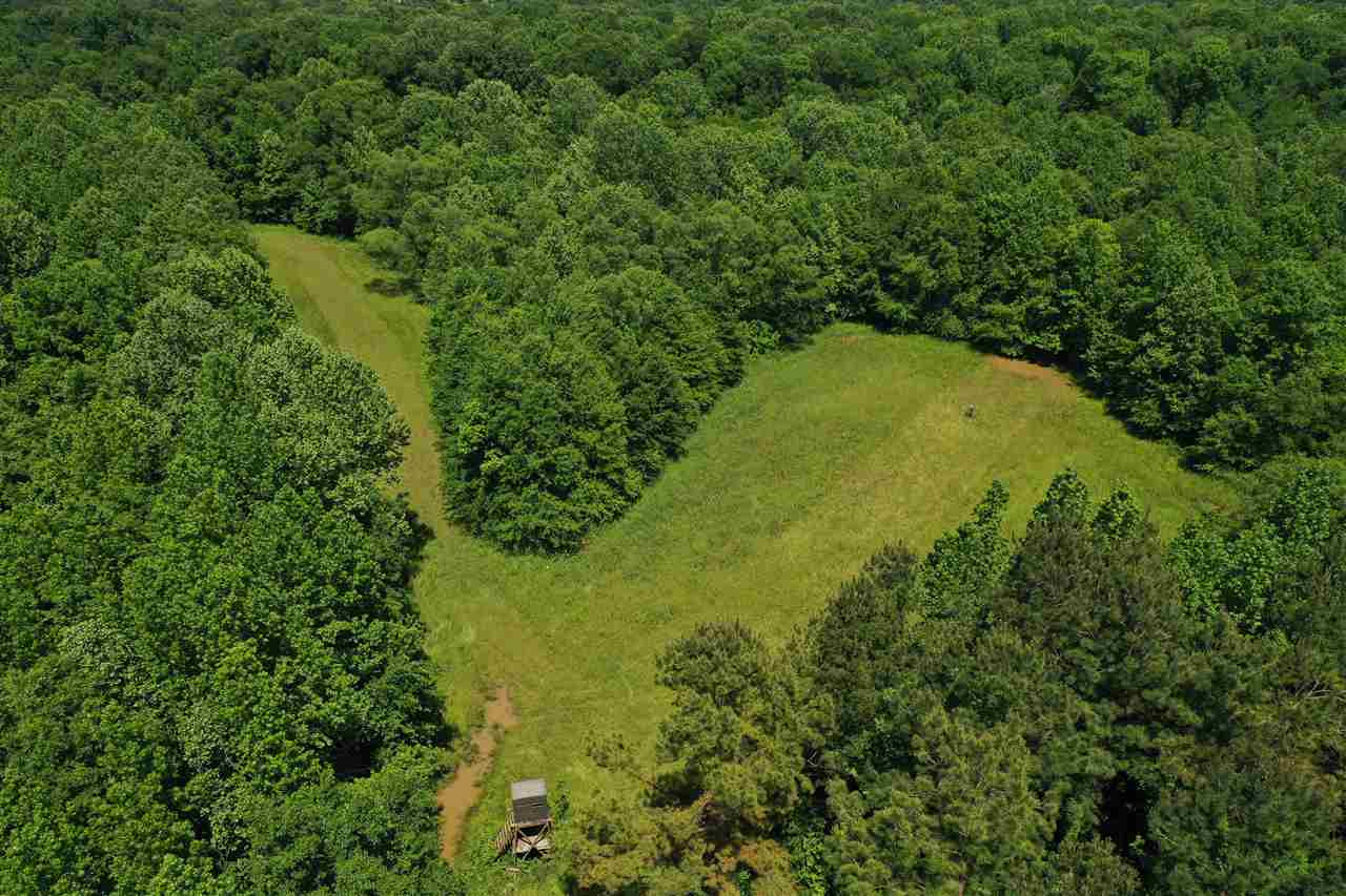 0 Mcguffee Road Clinton, MS 39056 - Photo 1 of 34 Photo 1