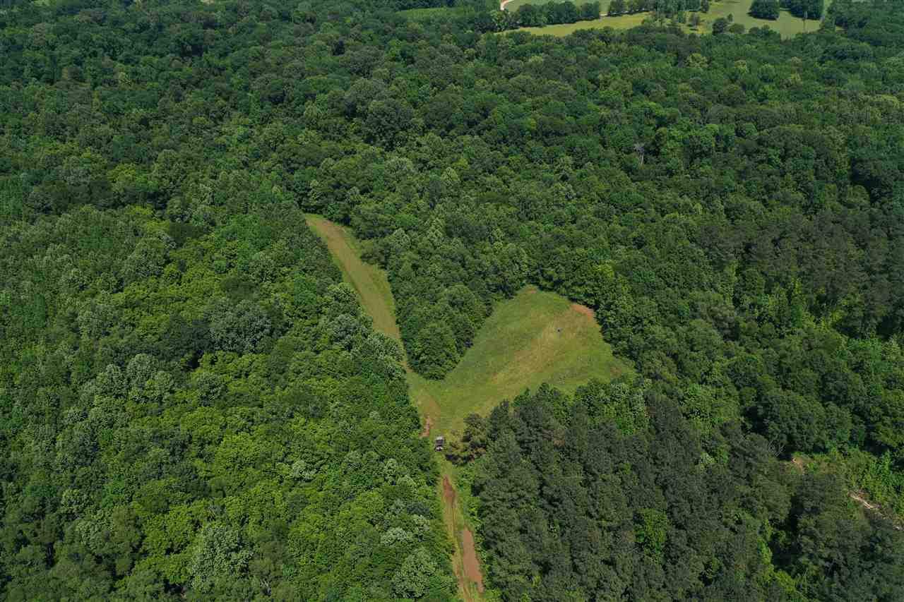 0 Mcguffee Road Clinton, MS 39056 - Photo 11 of 34 Photo 11